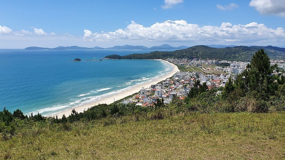 PALMAS DO ARVOREDO